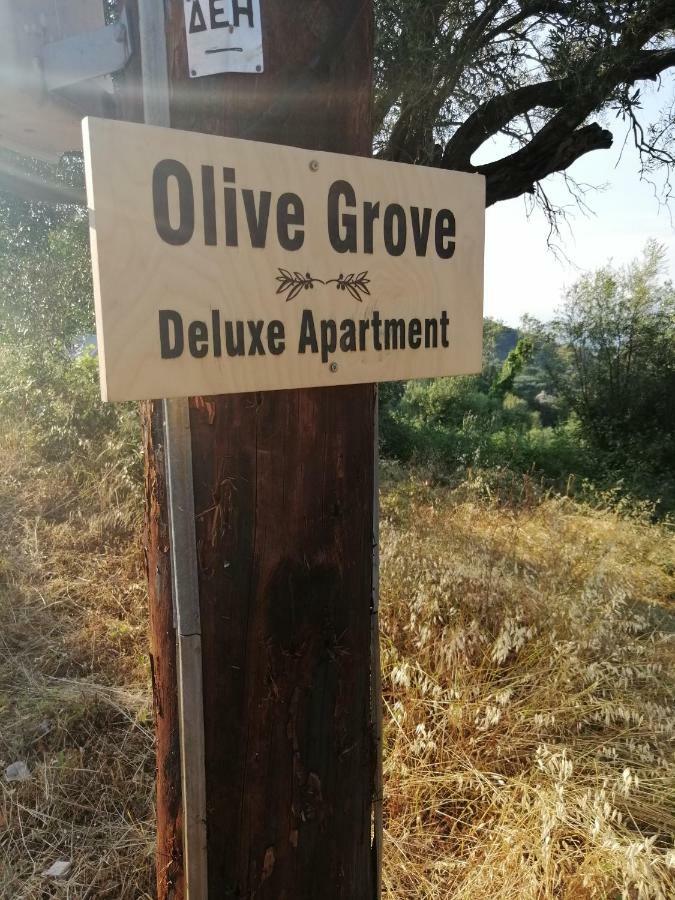 Olive Grove Deluxe Apartment Agnítsini Exterior foto